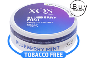 XQS Blueberry Mint 4MG