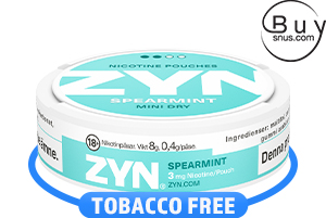 Zyn Spearmint Medium Mini Dry